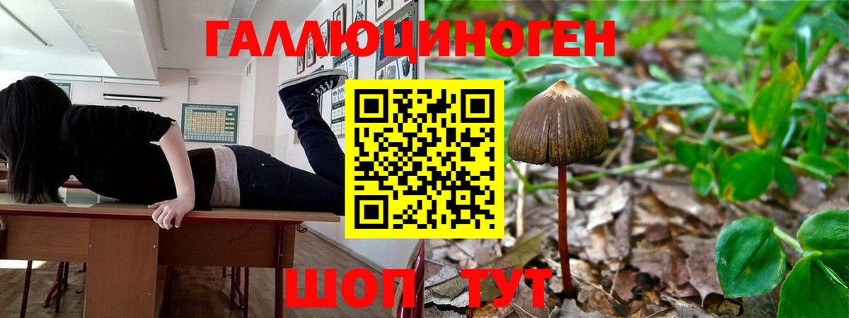 Галлюциногенные грибы Psilocybine cubensis  Галлюциногенные грибы MAGIC MUSHROOMS  Переславль-Залесский  Вход с VPN 